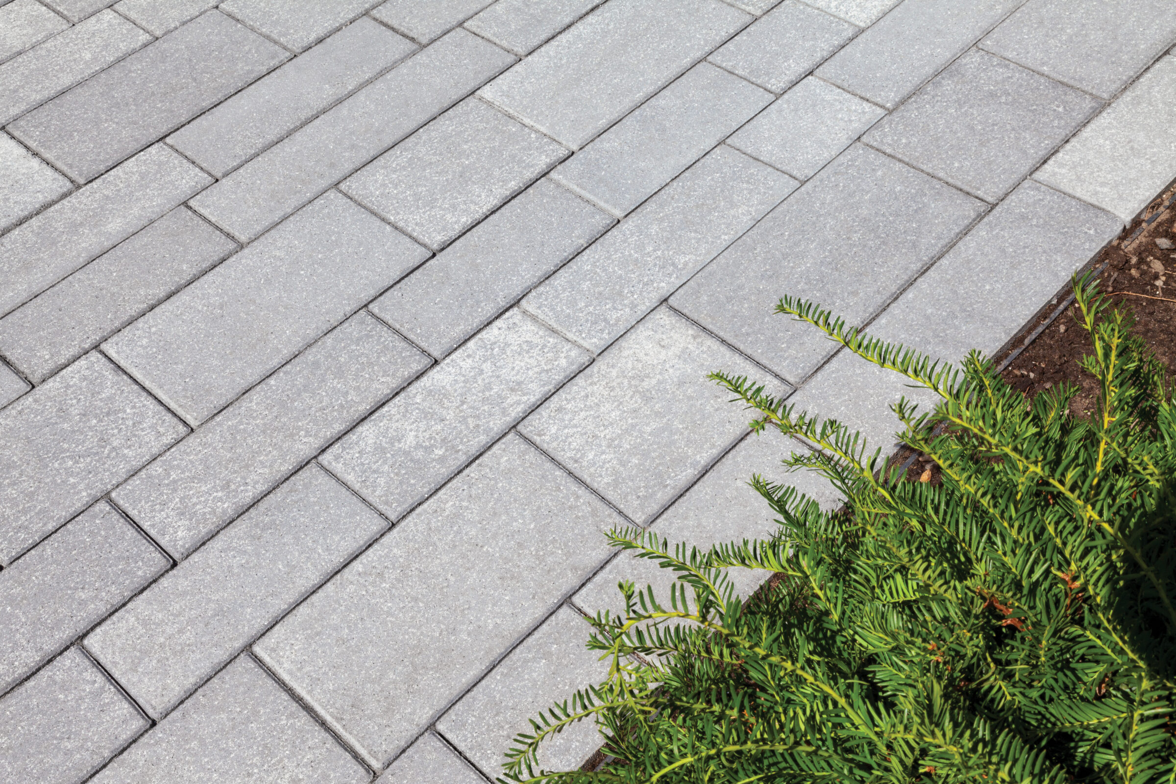 Gray stone sidewalk with green shrubs.