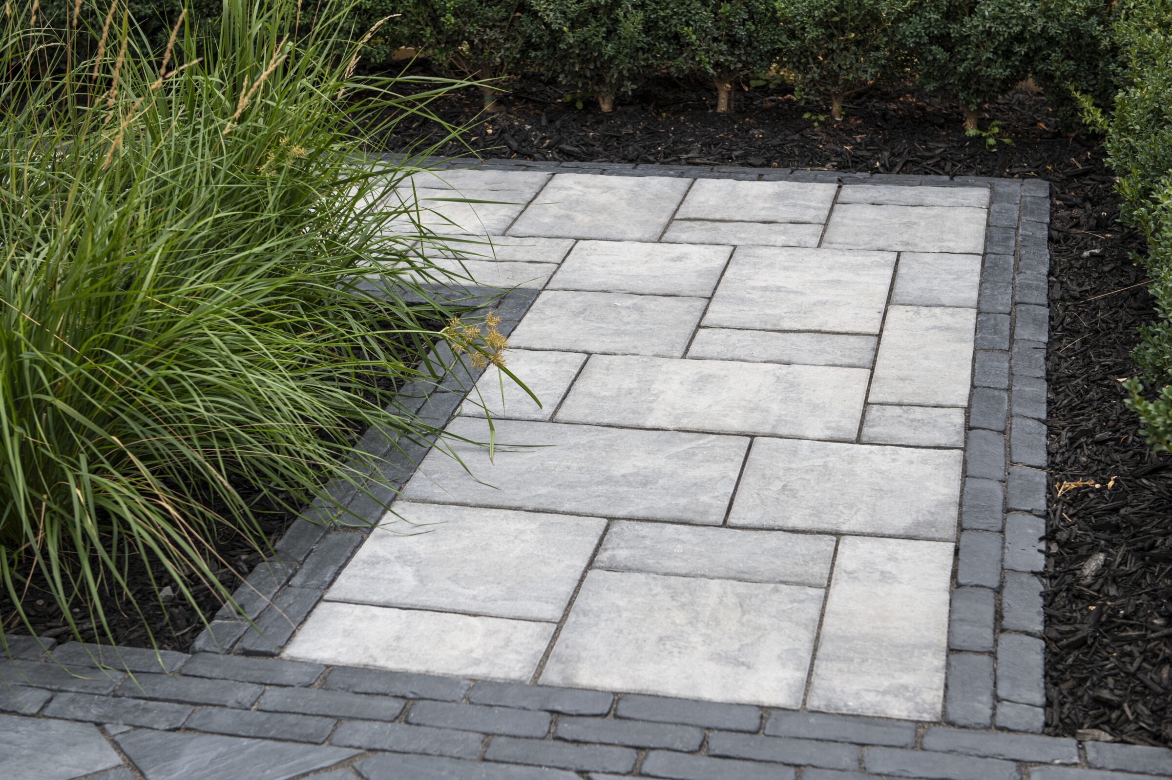 Stone pathway with surrounding greenery and mulch.