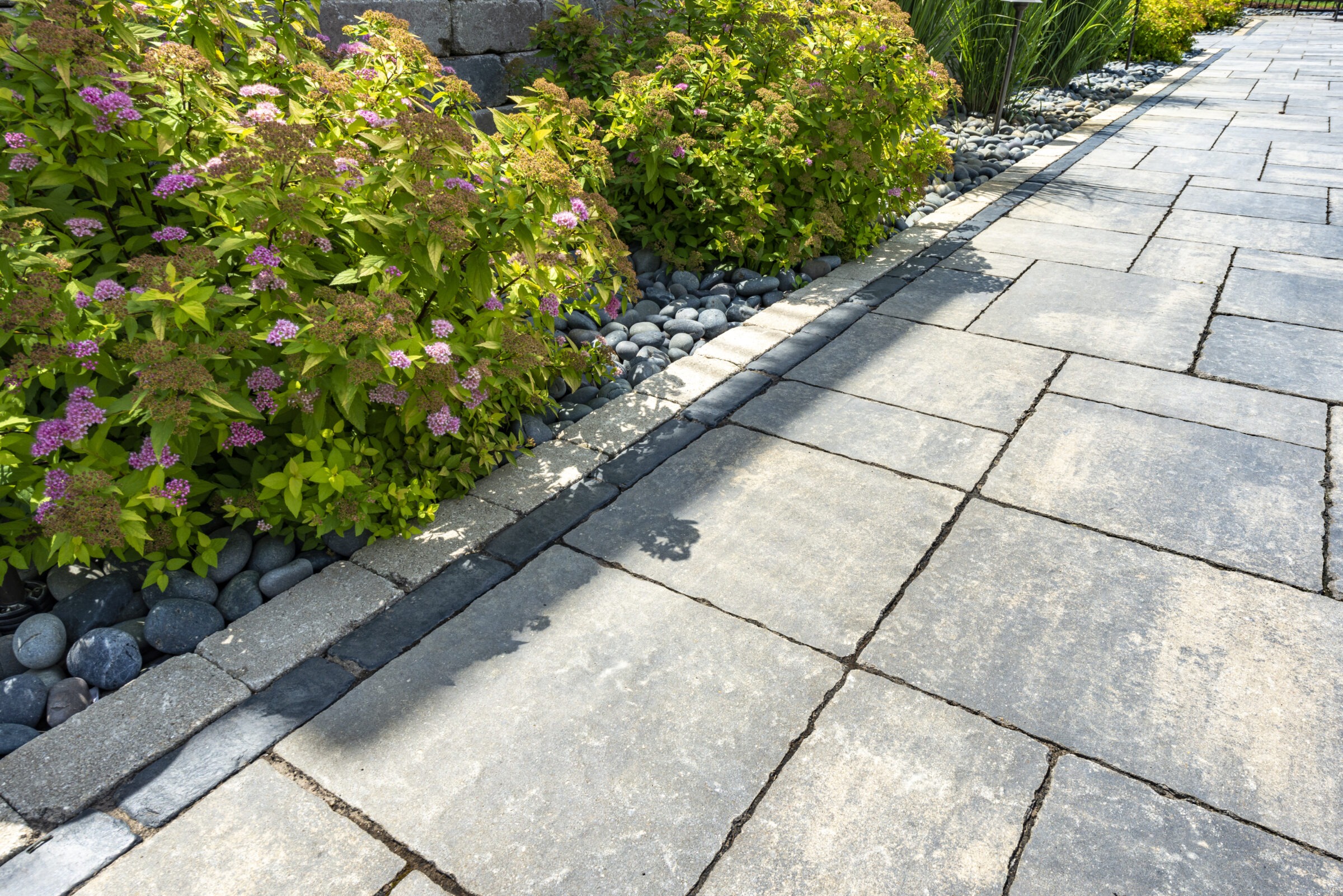 Stone pathway with colorful garden plants