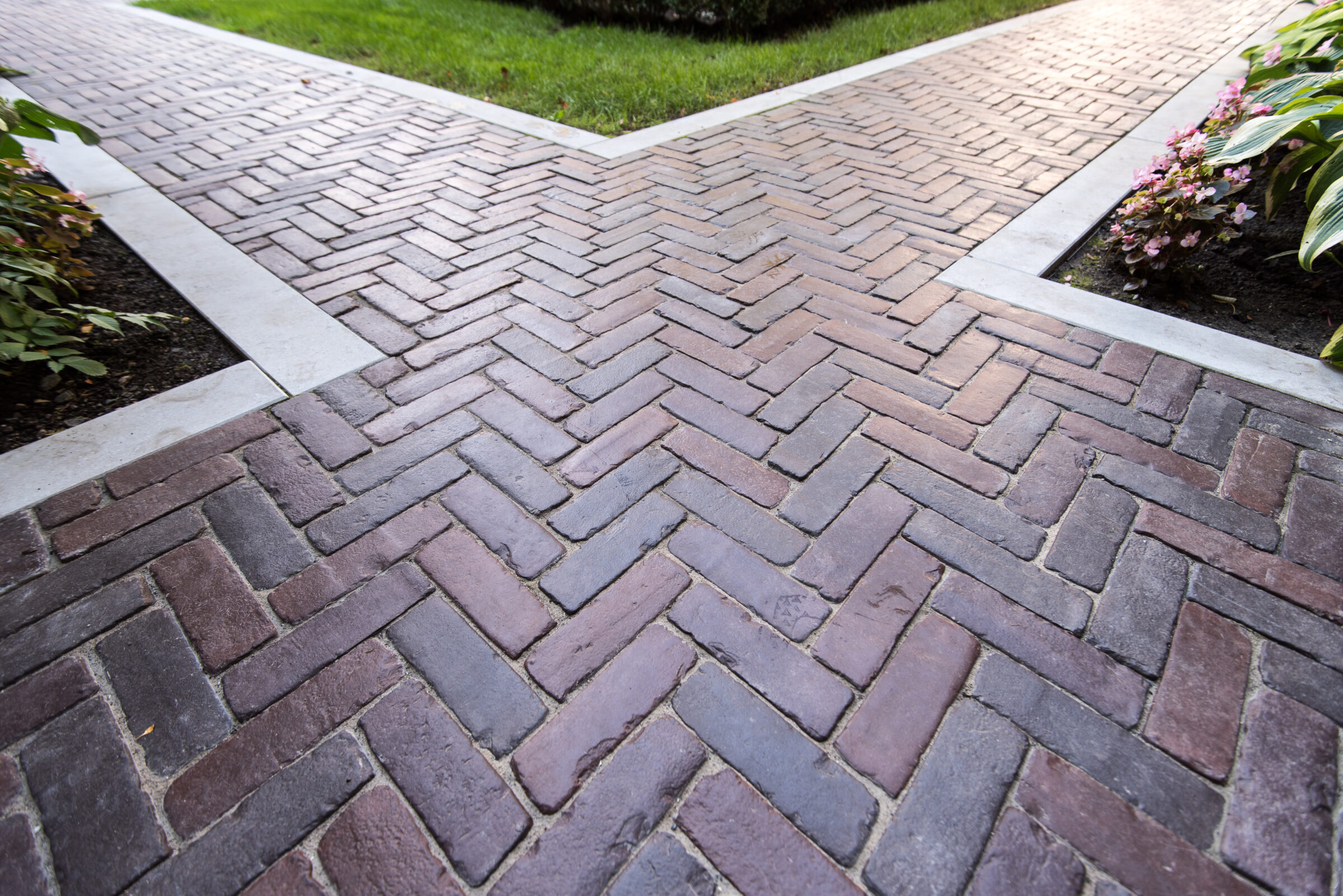 Herringbone brick pathway with surrounding green plants
