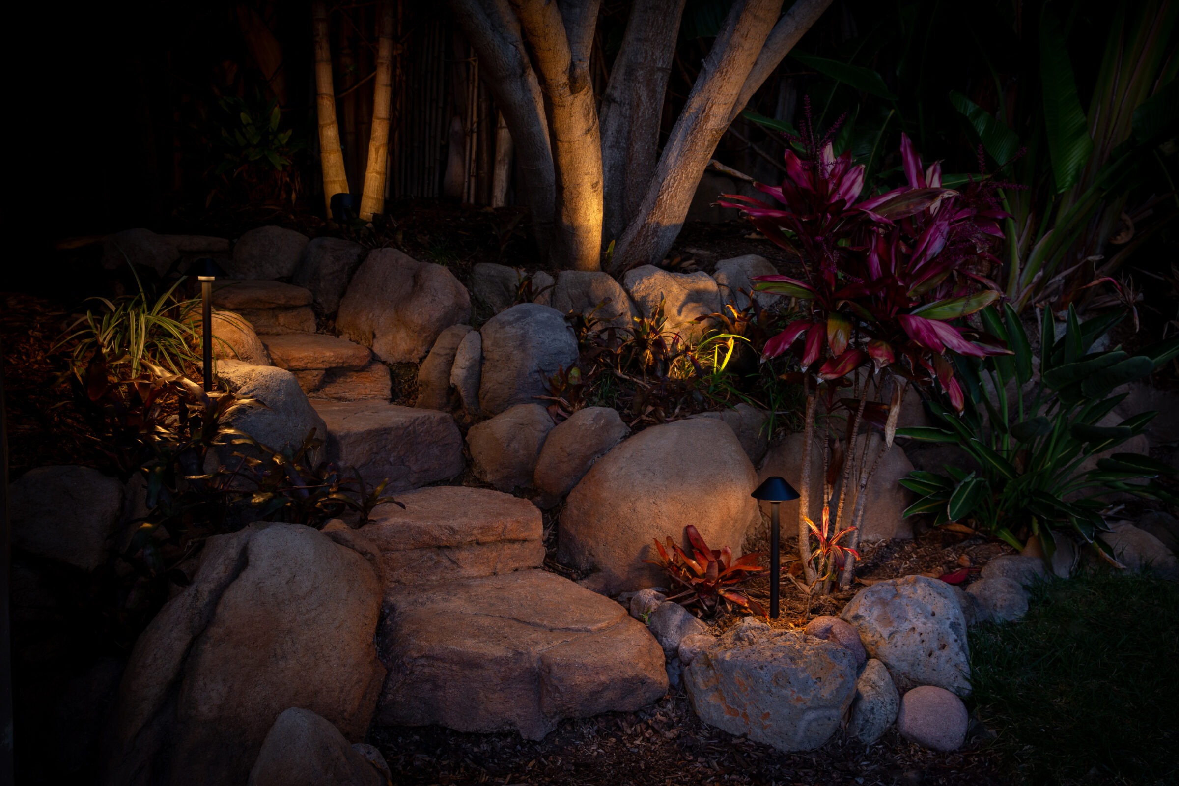 Garden path illuminated by small lights at night.