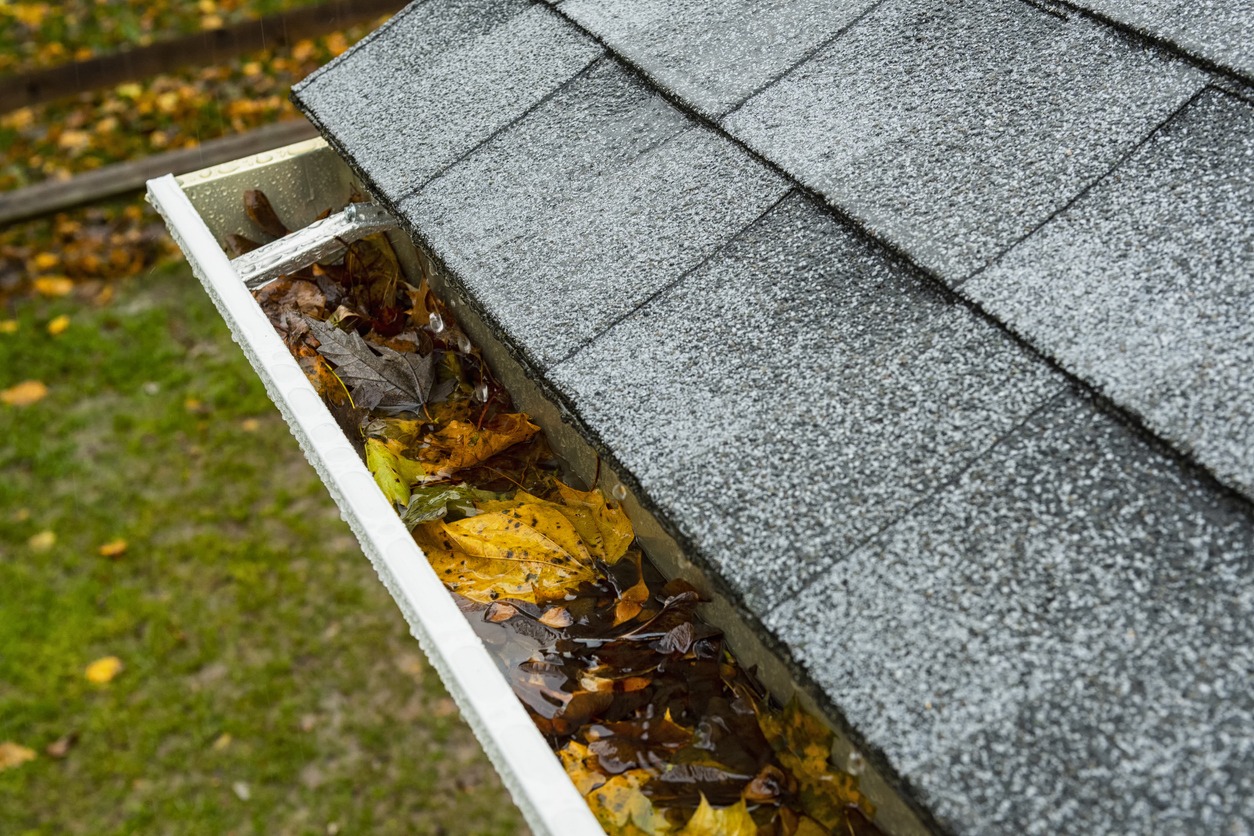 Clogged gutter filled with leaves on shingled roof.
