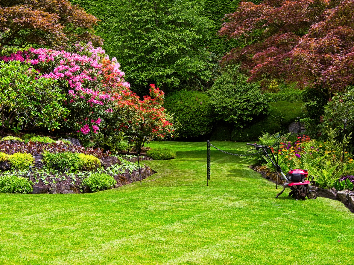 Lush garden with mower and colorful flowers.