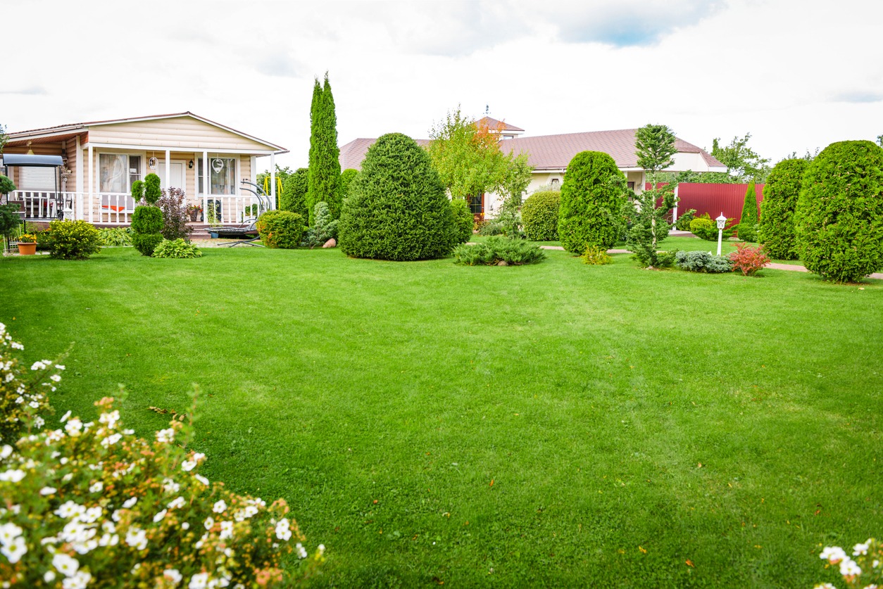 Manicured backyard with lush green lawn and trees