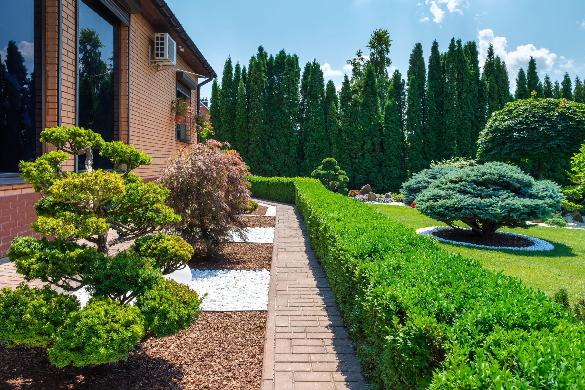 Lush garden with hedges and trees