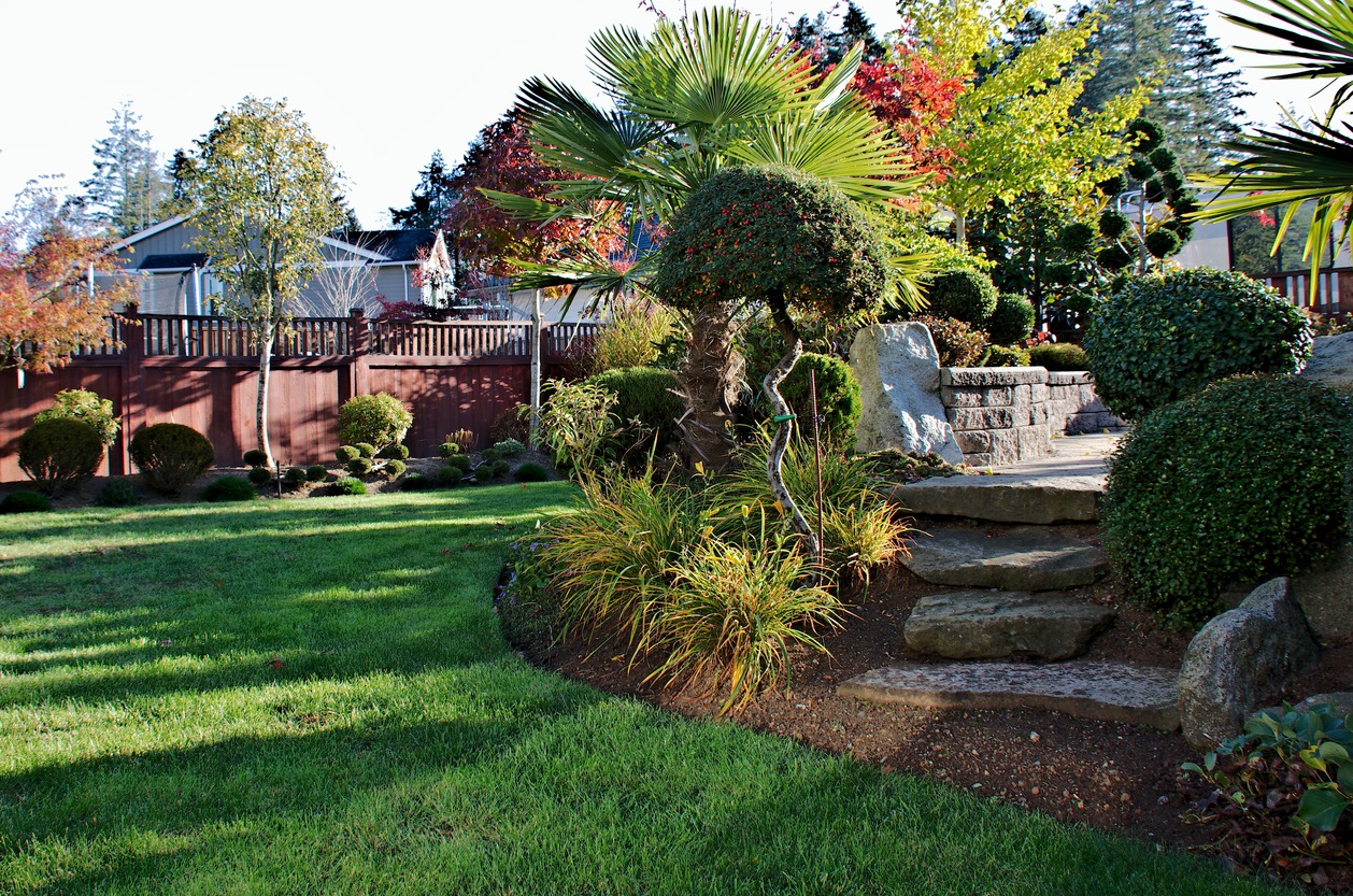 Lush garden with stone steps and trimmed shrubs.