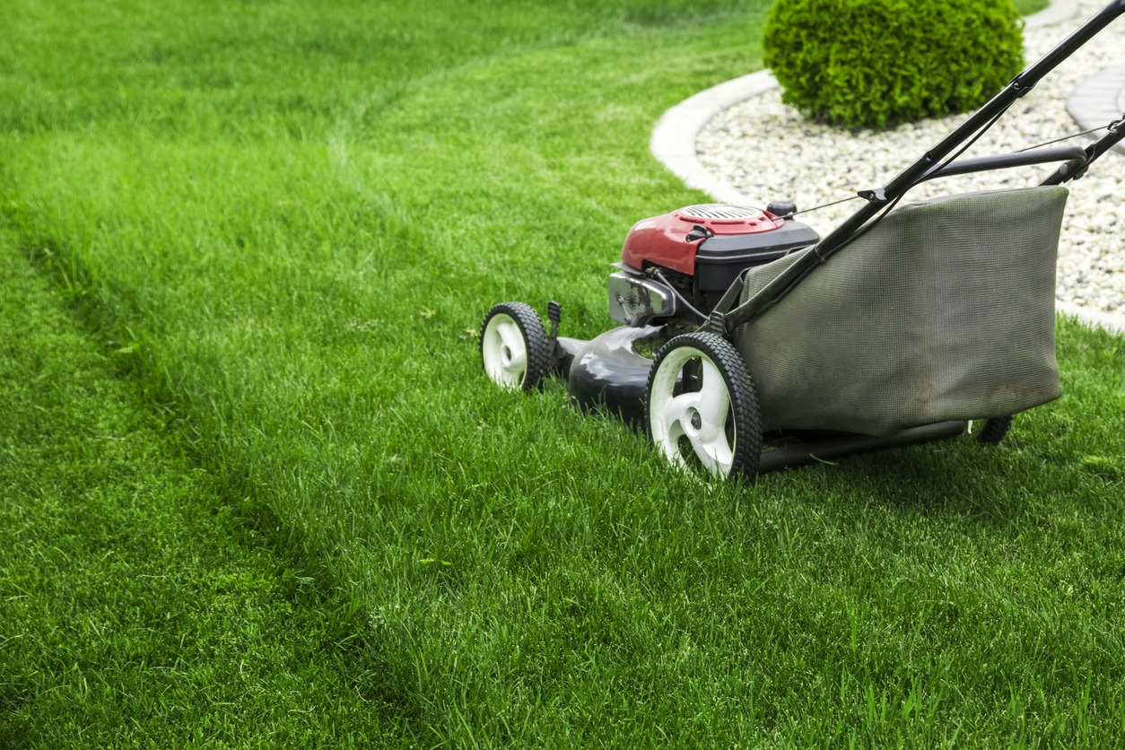 Lawn mower cutting green grass in backyard.