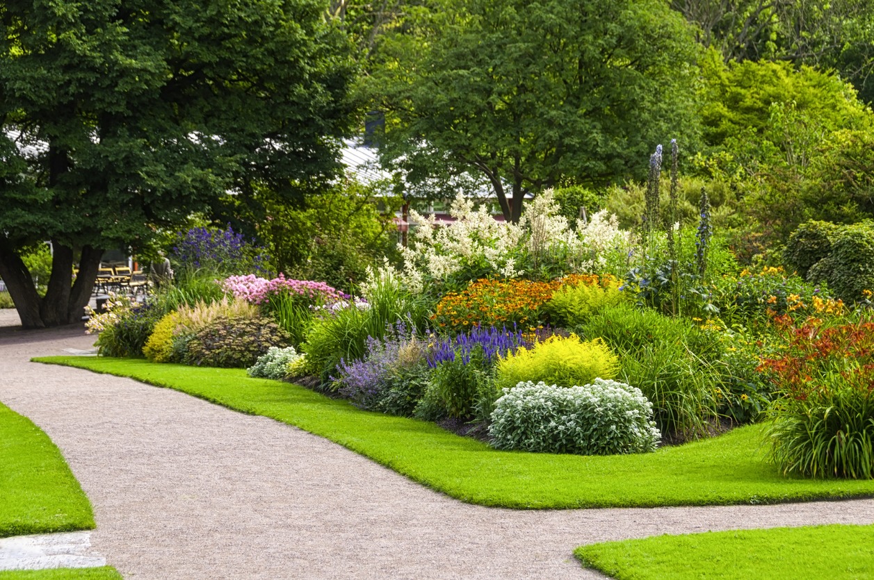 Vibrant garden with colorful flowers and lush greenery.