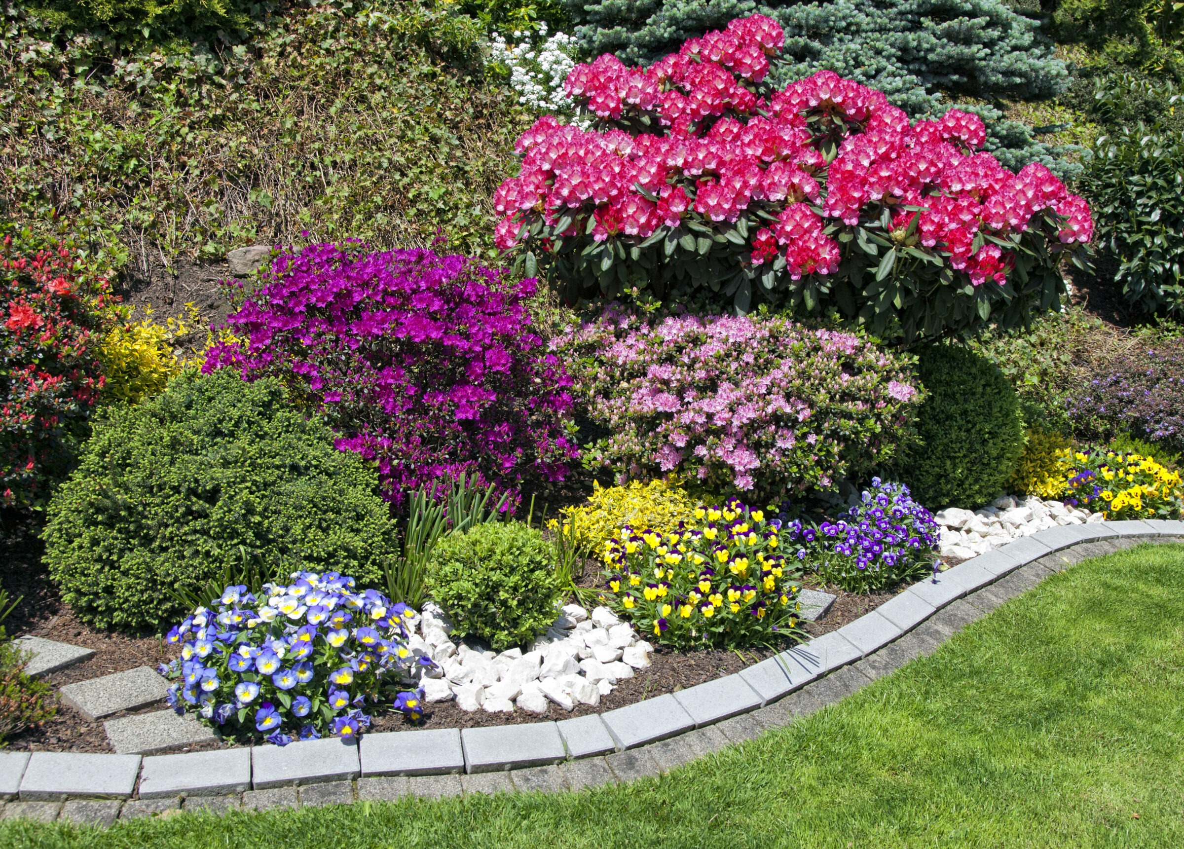 Colorful flower garden with diverse blooms and shrubs.