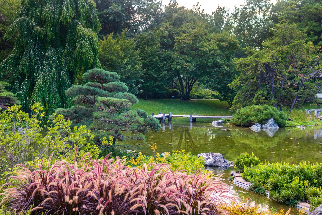 Serene Japanese garden with pond and bridge.