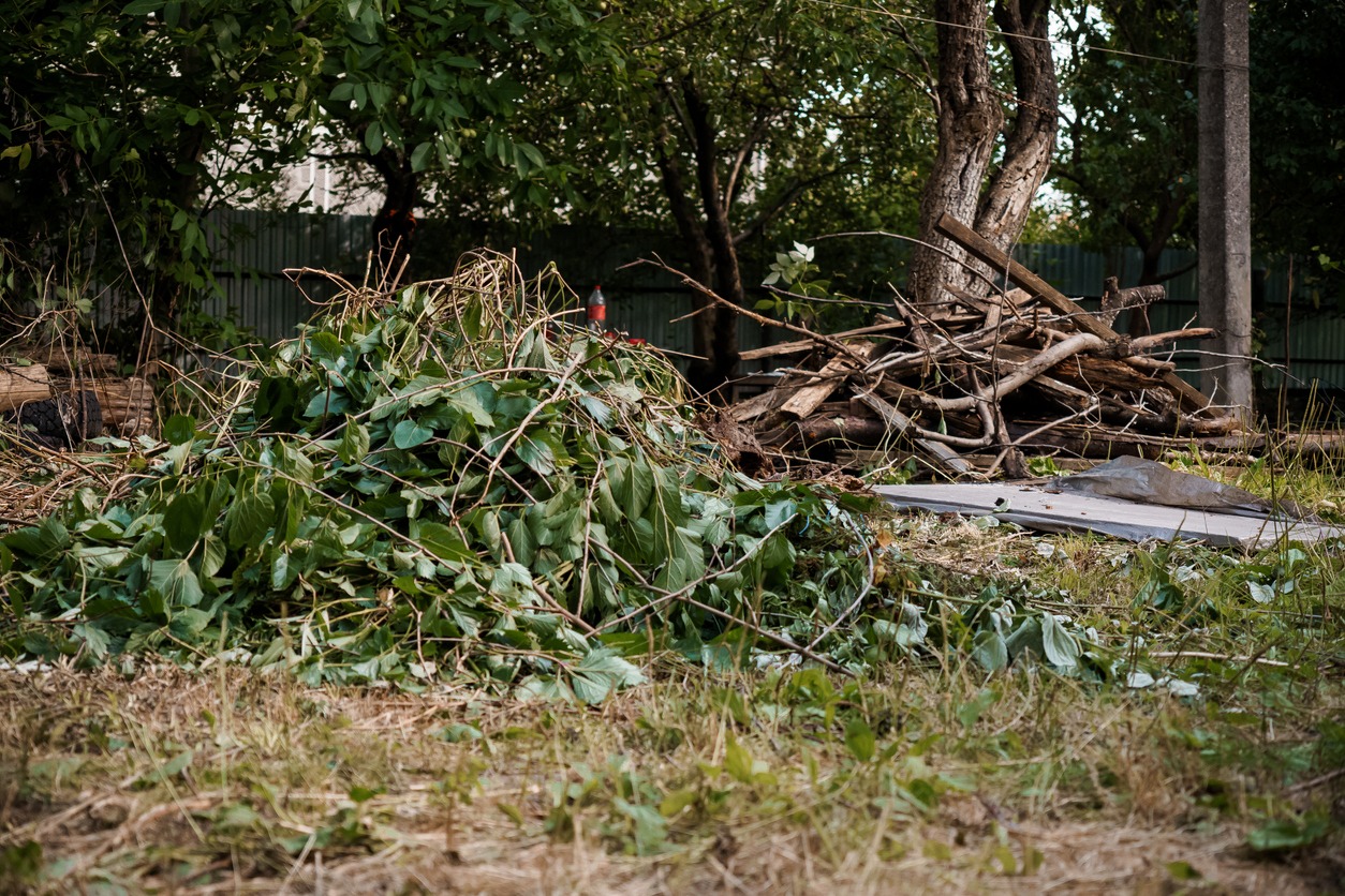 Pile of garden branches and leaves.
