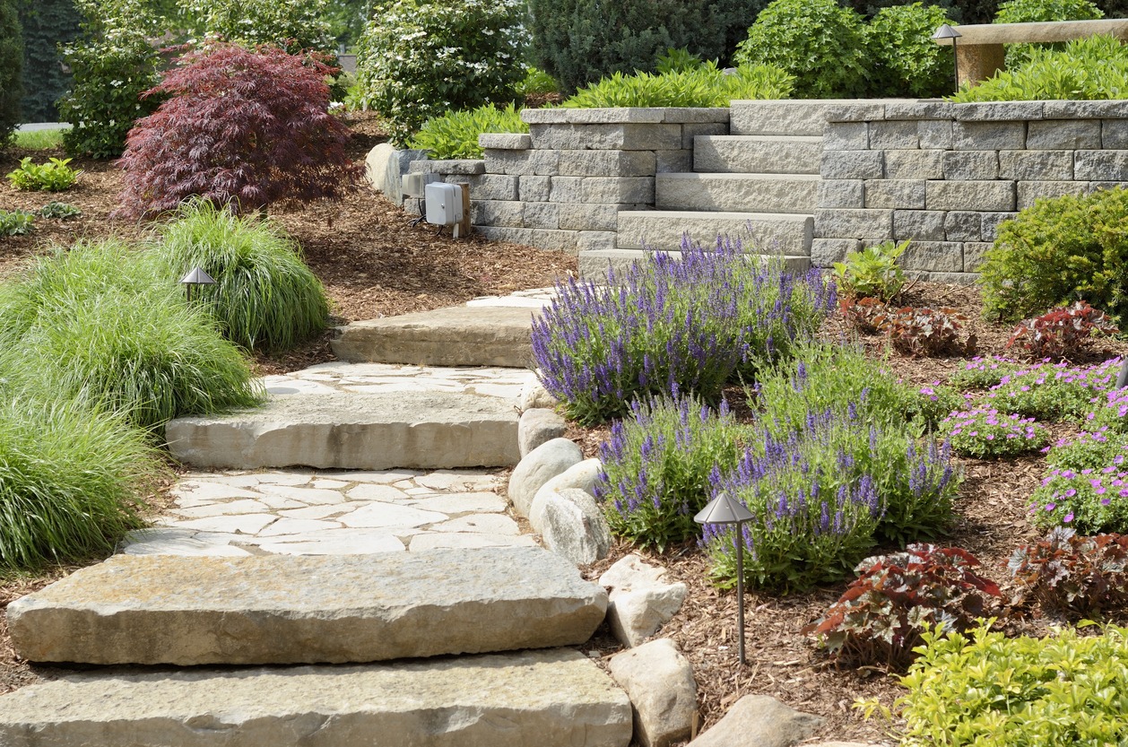 Stone pathway in landscaped garden with colorful plants.