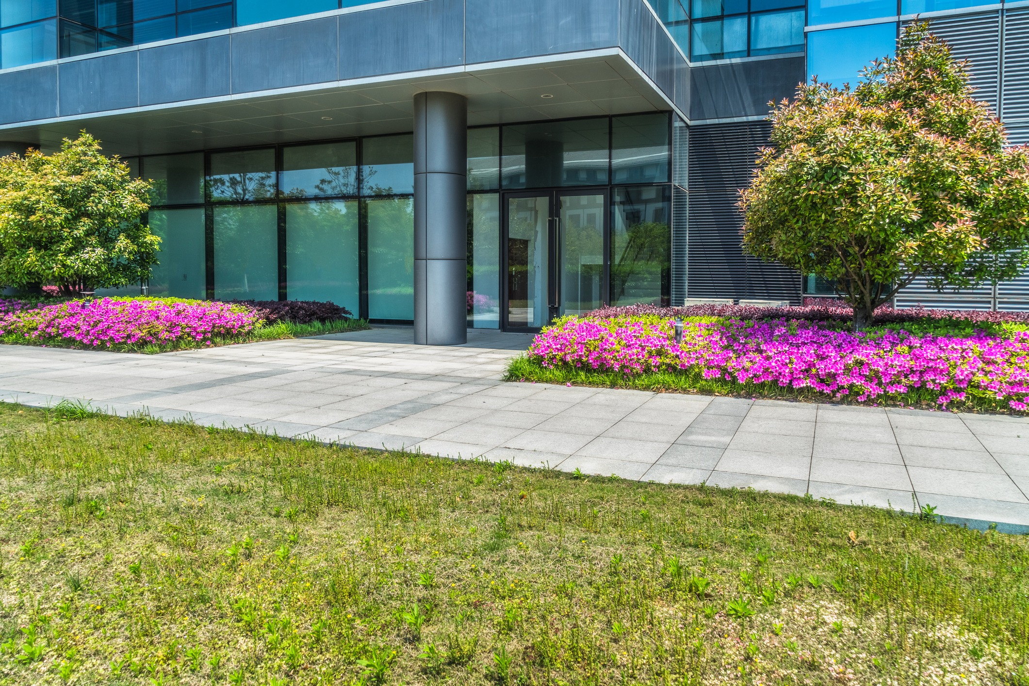 Modern building entrance with colorful flowerbeds