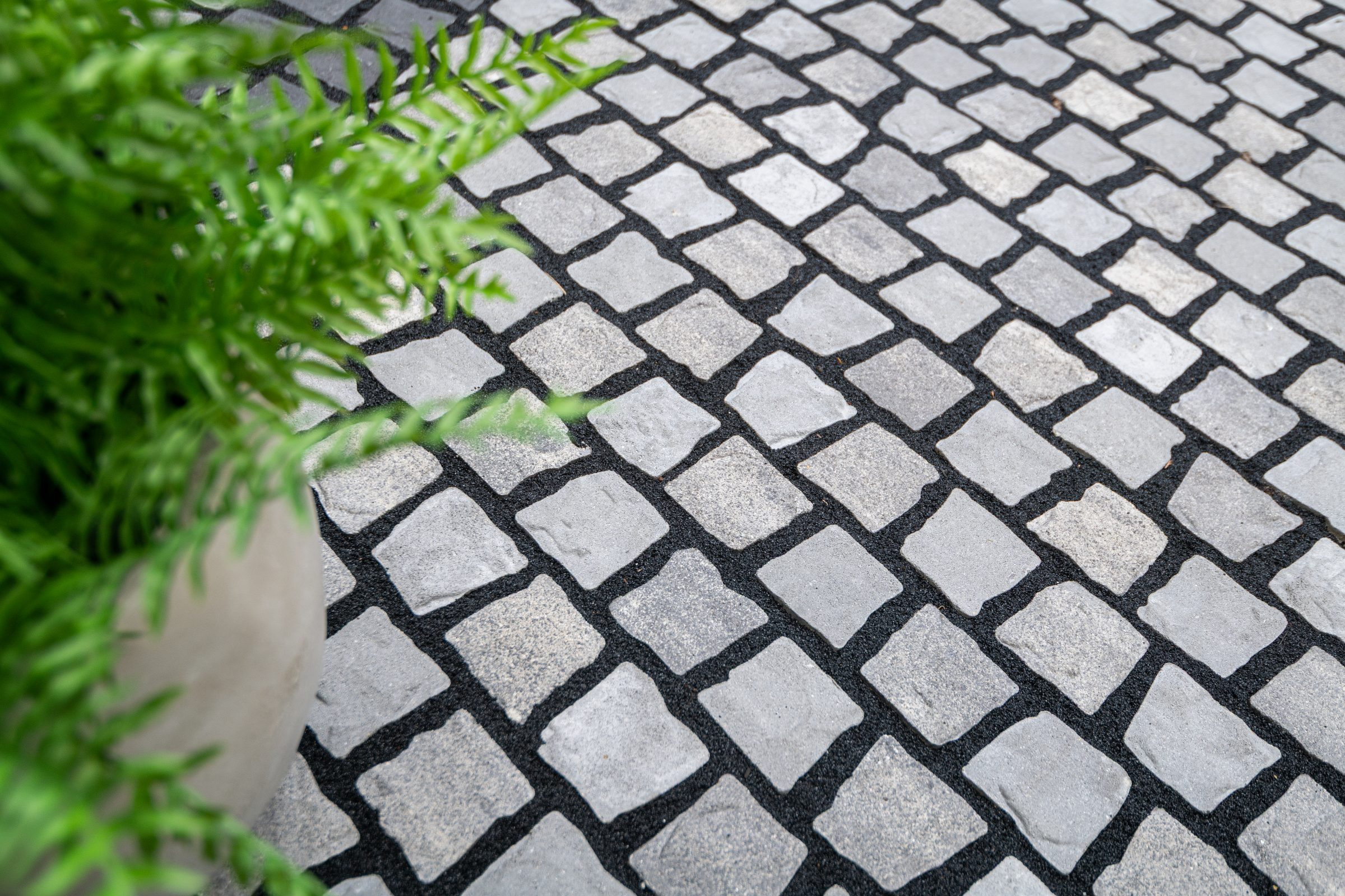 Cobblestone path with green potted plant.
