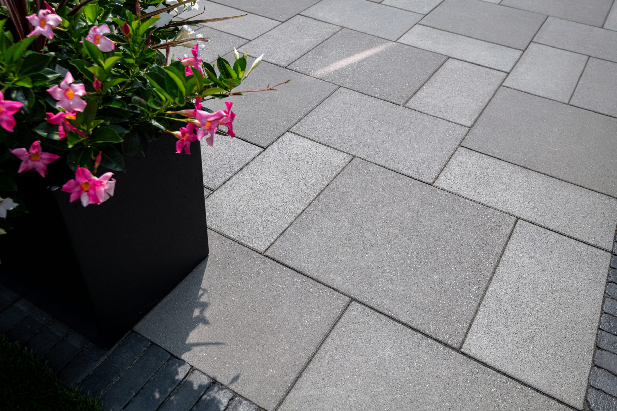 Gray outdoor tiles beside potted pink flowers