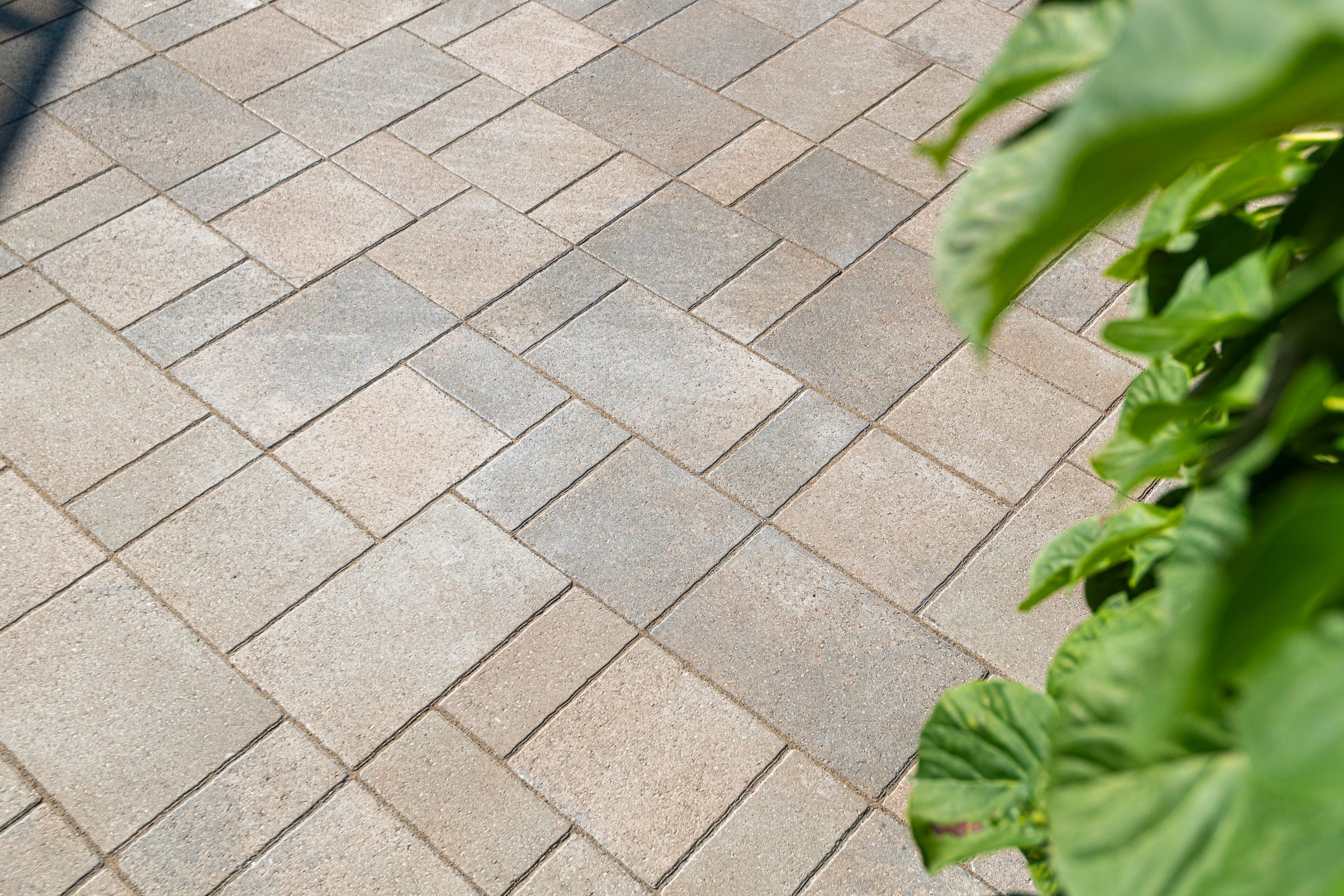 prepare your yard for a patio
