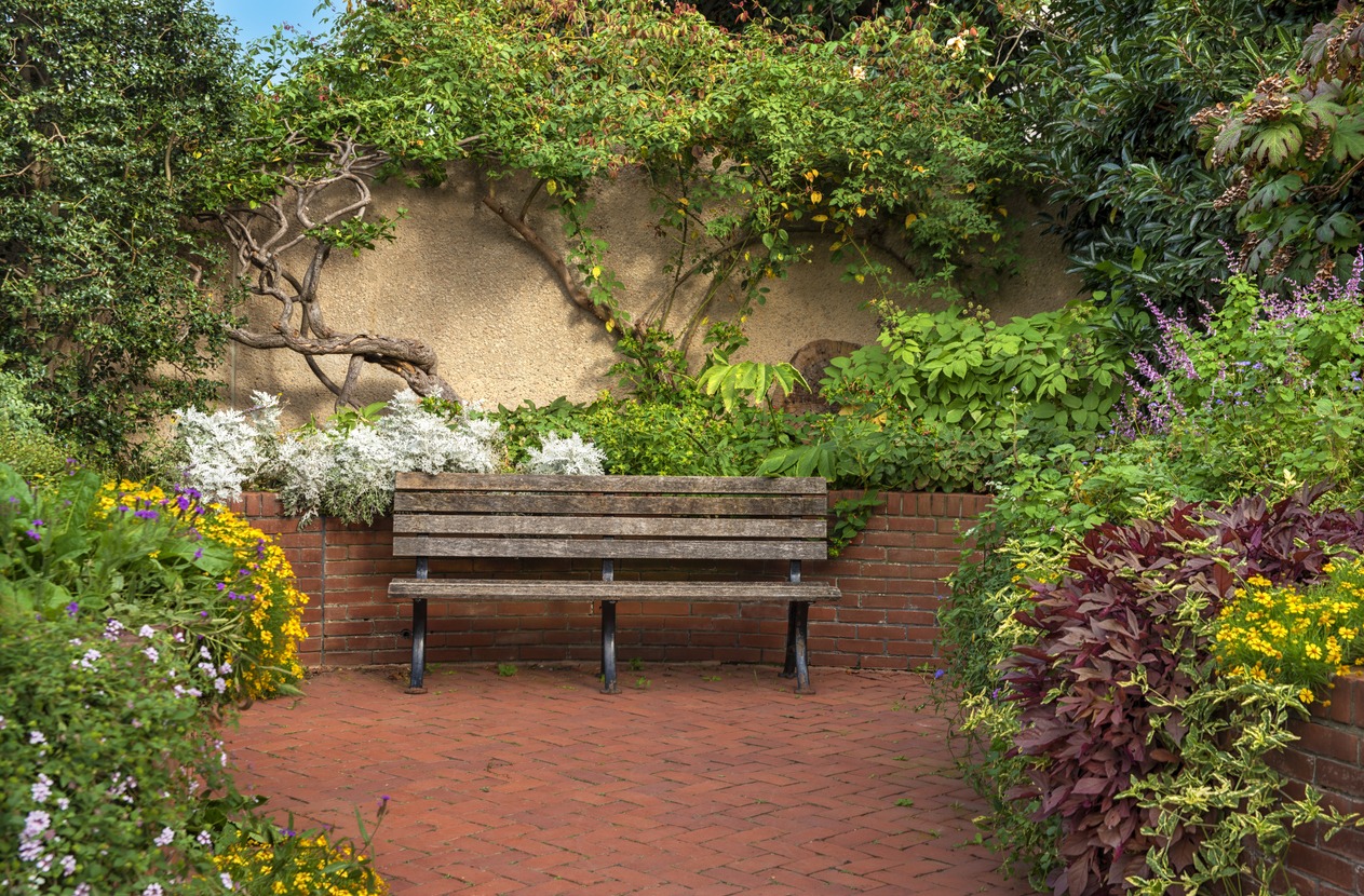 Wooden bench in lush garden setting.